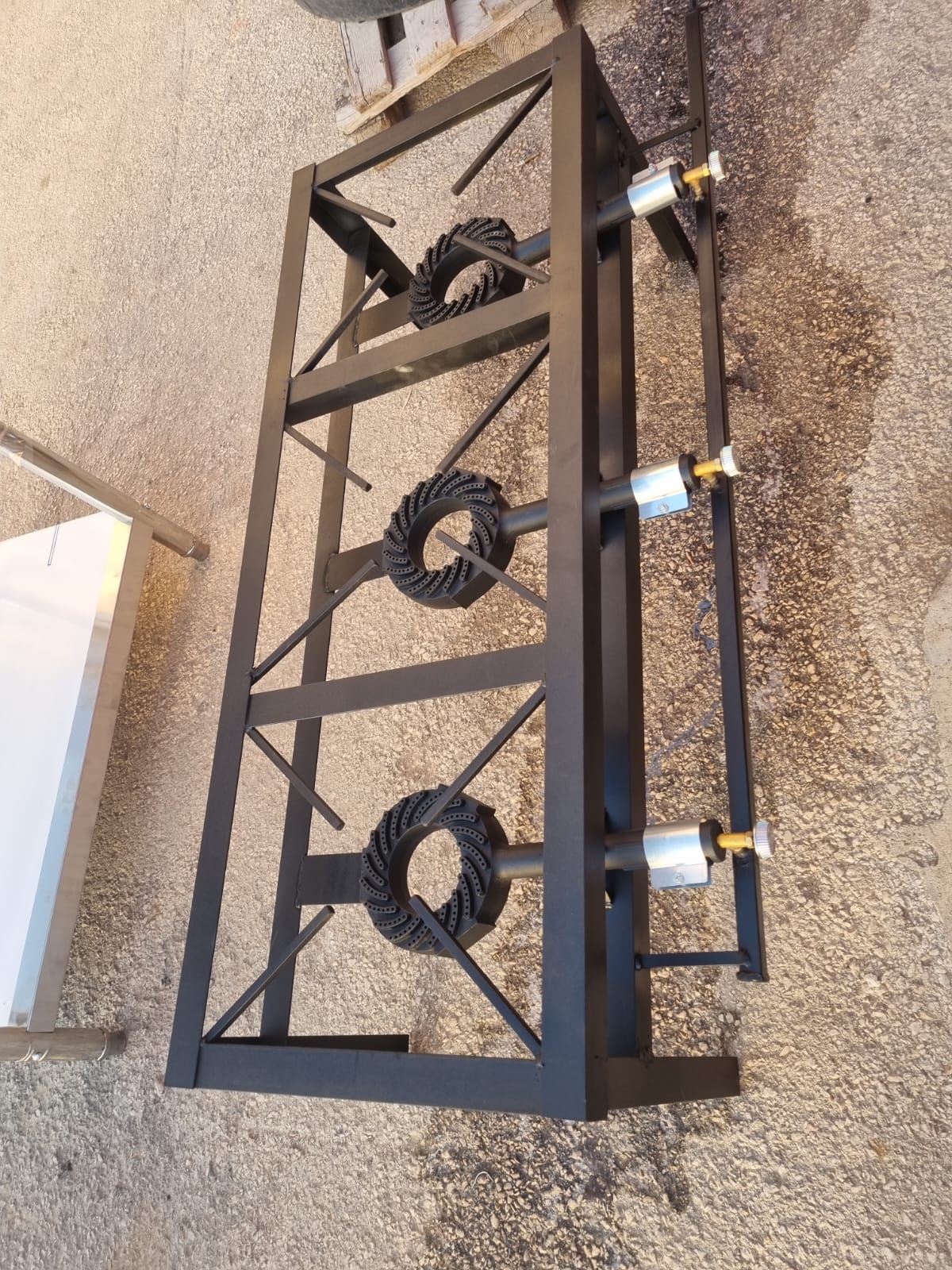 صورة إضافية